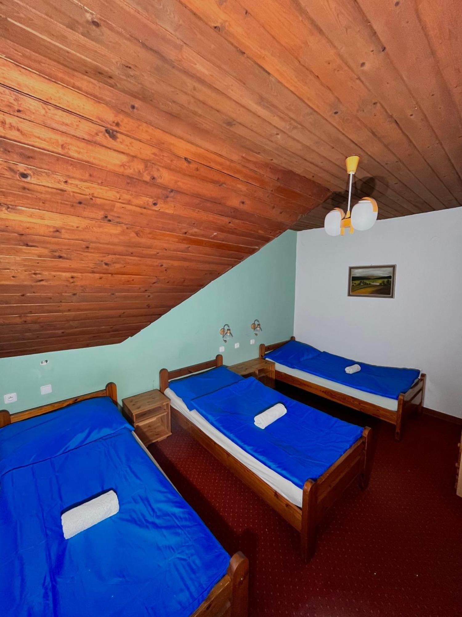Vila Morava Hotel Liptovsky Mikulas Bagian luar foto